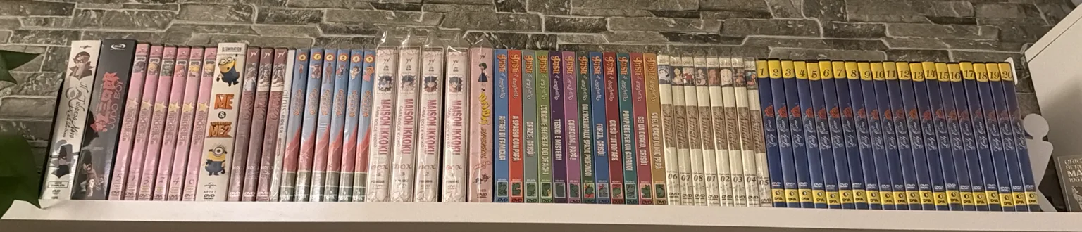 Il mio scaffale dei DVD dei cartoni animati